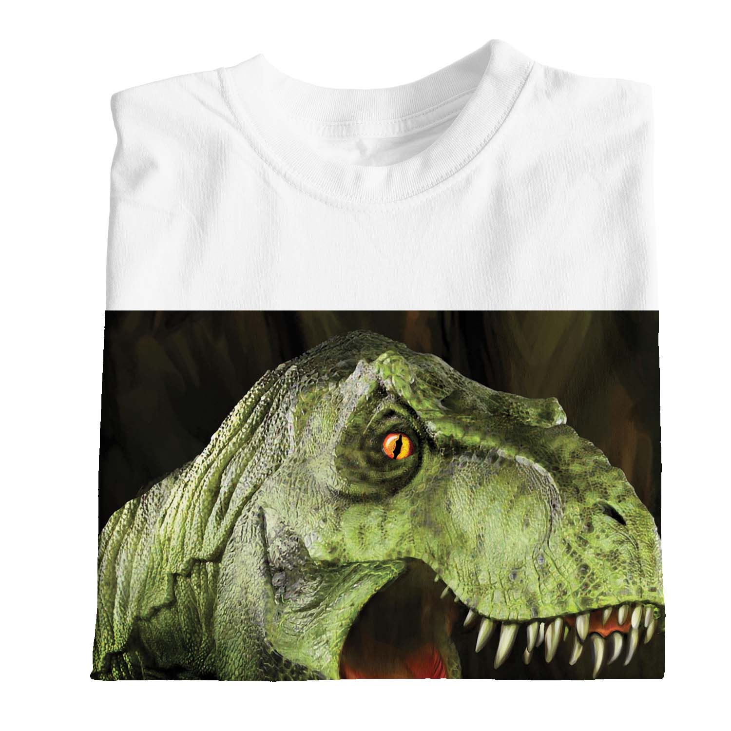1Tee Kids Boys Scary Jurassic T-rex Dinosaur T-Shirt 