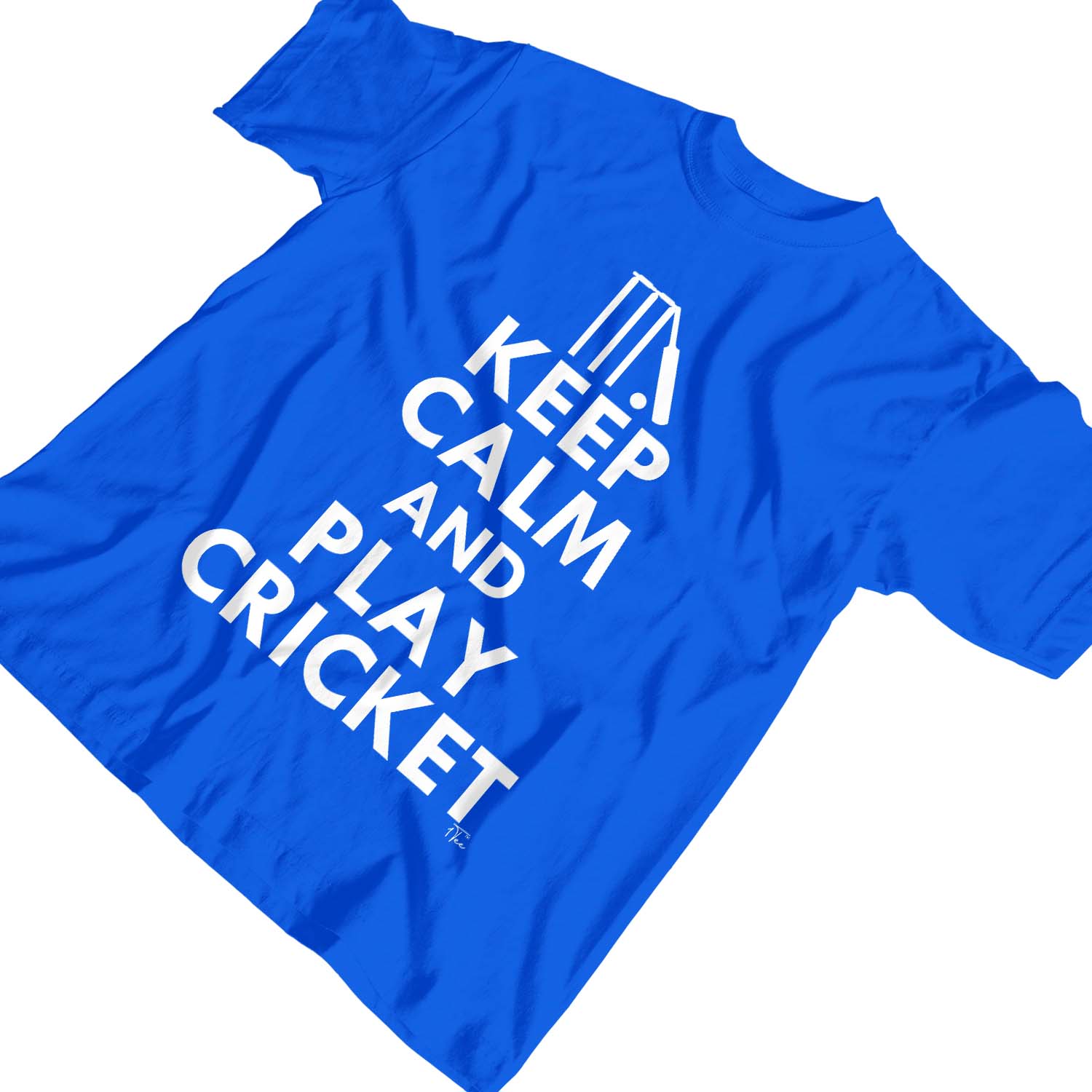 1Tee Kids Boys Keep Calm And Play Cricket TShirt eBay