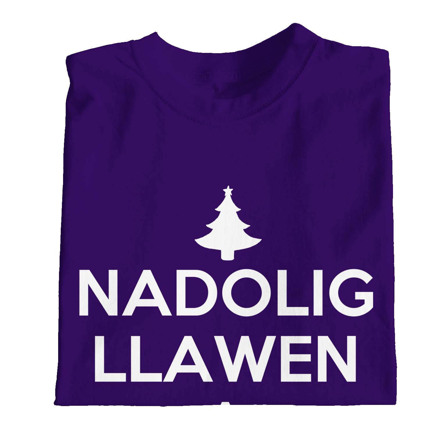 1Tee Kids Girls Nadolig Llawen A Blwyddyn Newydd Dda Welsh T-Shirt